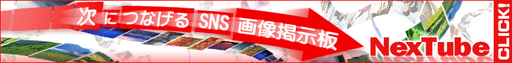 ���ɂȂ���SNS�摜�f����[NexTube]